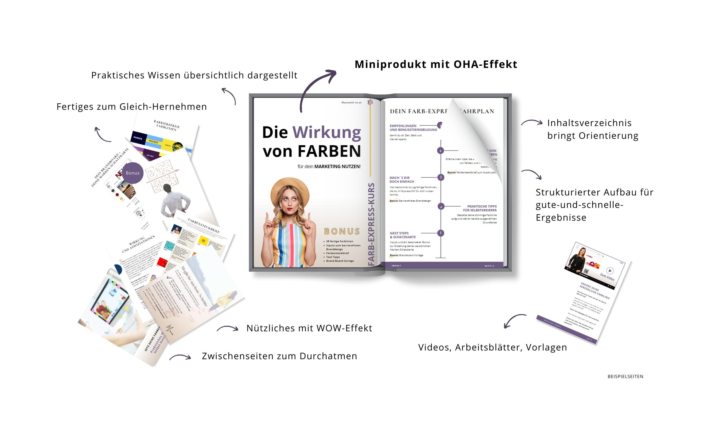 Beispielseiten des Farbexpress von Marion Zdesar